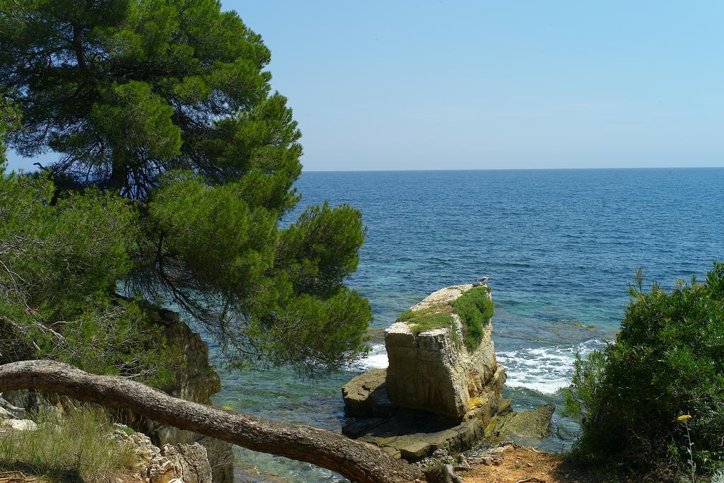 Studio Haut De Gamme - Centre Ville Cannes Dış mekan fotoğraf