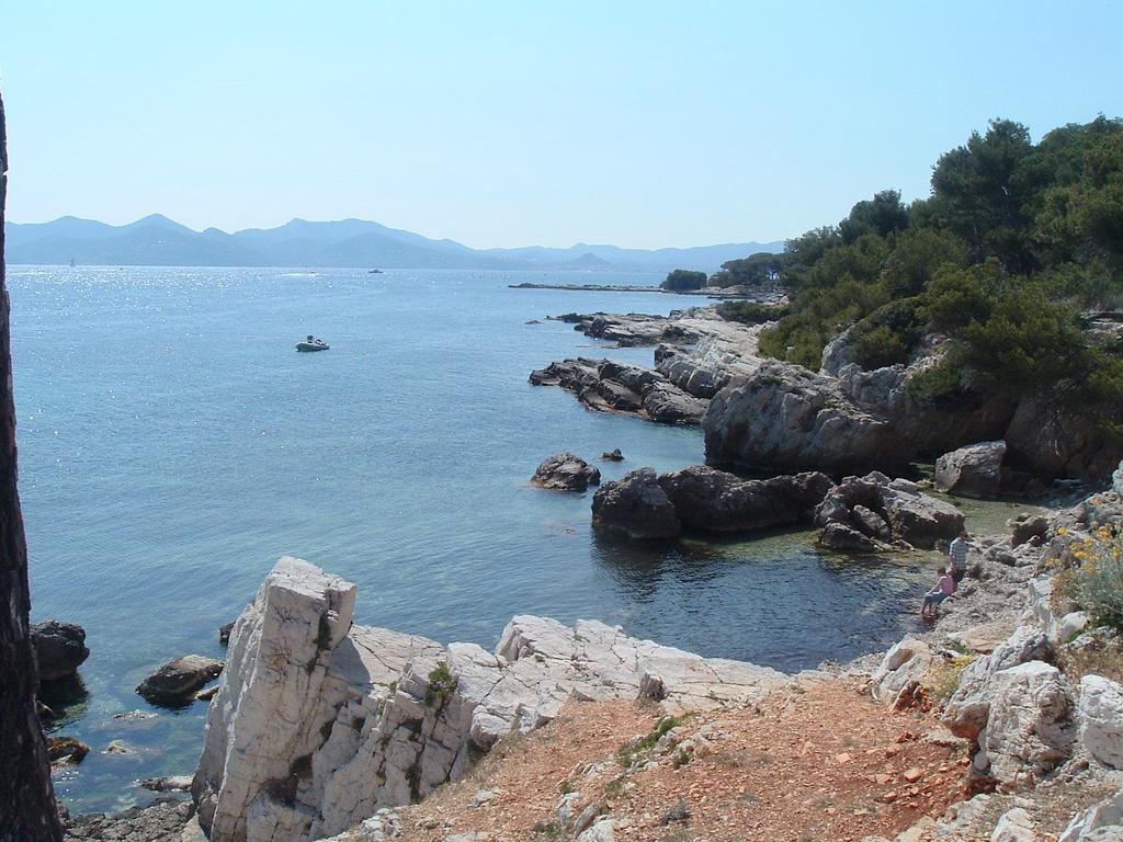 Studio Haut De Gamme - Centre Ville Cannes Dış mekan fotoğraf
