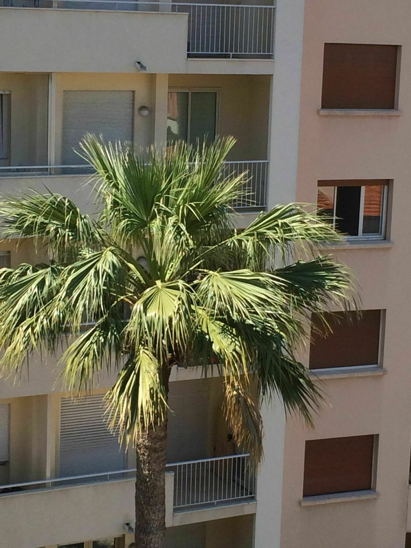Studio Haut De Gamme - Centre Ville Cannes Dış mekan fotoğraf